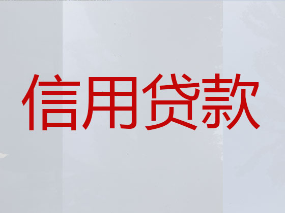 崇左本地贷款中介公司